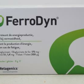 FerroDyn