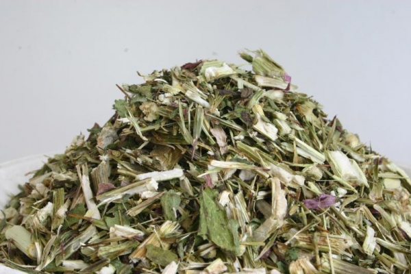 Echinacea