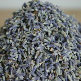 Lavendel