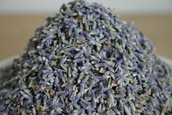 Lavendel