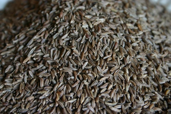 Kummel