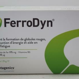 FerroDyn