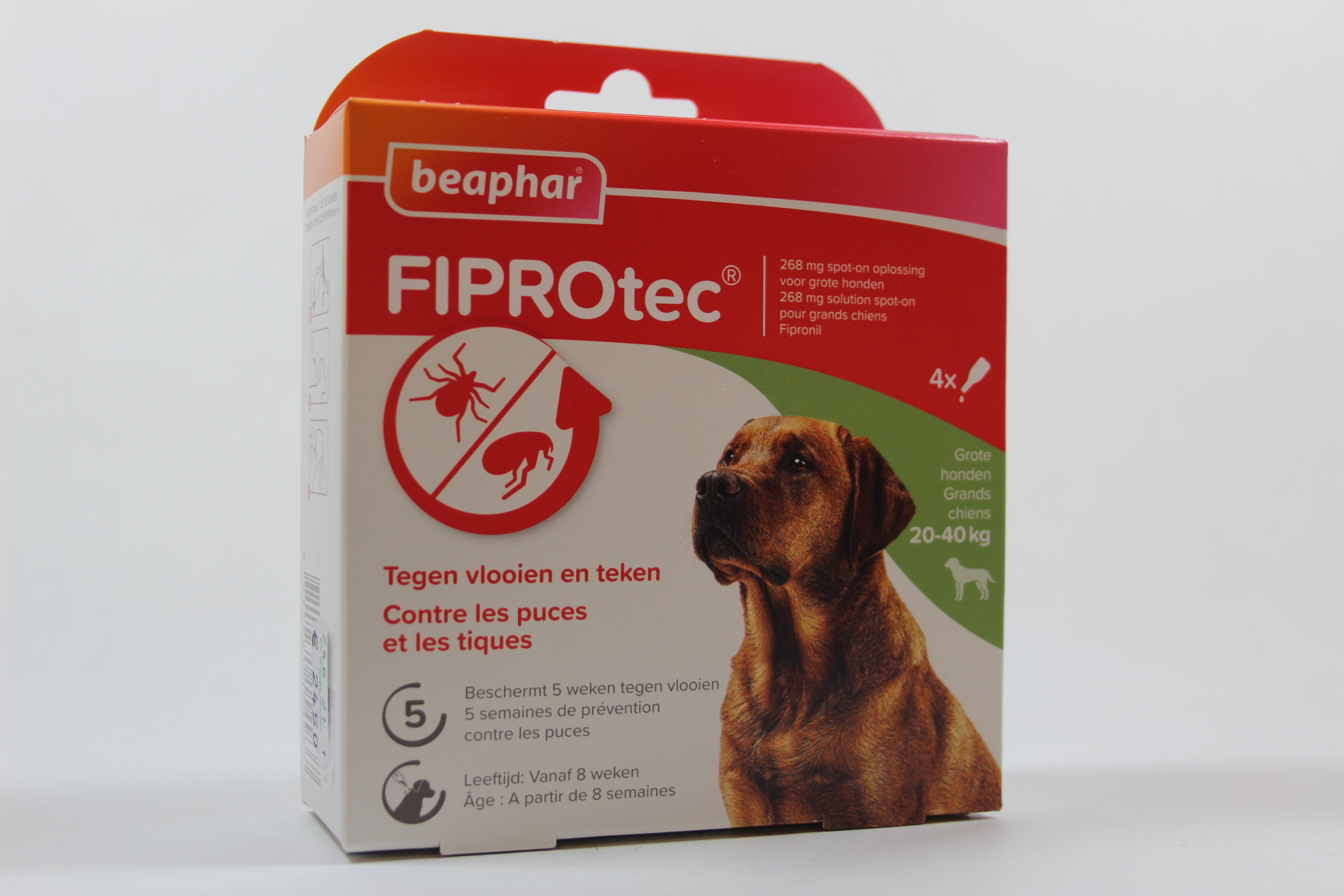 FiproTec vlooien en teken (hond) 2040kg (4 Pipetten) Beaphar De Groene Luifel