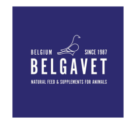 Belgavet