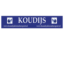 KOUDIJS