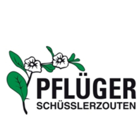 Schüssler