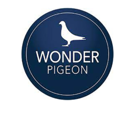 Wonder Pigeon